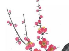 屬兔的是不是明年是本命年呀,屬兔的是不是明年是本命年呀女孩