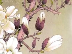 1970年狗女2025年運勢 生肖狗2025佩戴飾物