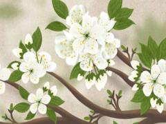 2025年是不是蛇年本命年 2025年是什么年蛇年本命年多少歲