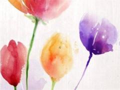 屬雞女今年婚姻怎么樣 屬羊男和屬雞女婚姻配嗎