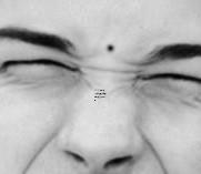 一個(gè)人智商高不高看面相就了解,一個(gè)人智商高體現(xiàn)在哪