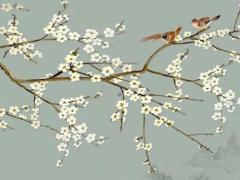 2025屬猴的運勢怎么樣 屬猴最旺的花