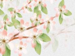 屬兔本命年飾品推薦女孩,屬兔本命年戴什么首飾好