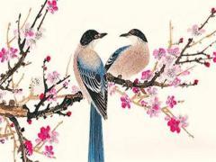 屬虎人在2025年的運勢 1986年屬虎的人招財物件