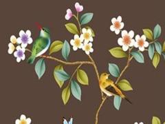 74年屬虎女今年每月運(yùn)勢 蛇年屬虎的運(yùn)勢